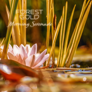 91小资源视频在线观看
